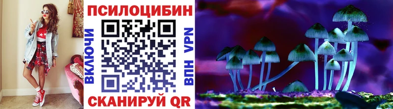 Галлюциногенные грибы Cubensis закладка Лянтор